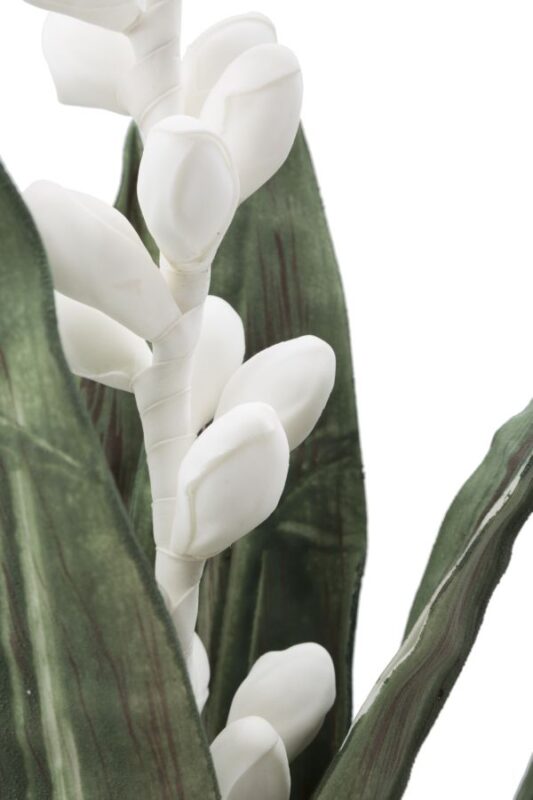 Штучна квітка MAURO FERRETTI ALOE FLOWER BIANCO CM Ø 23X93 MIN 10