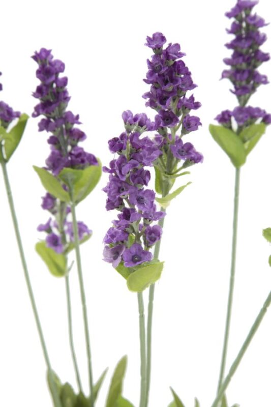 Штучна квітка MAURO FERRETTI RAMO LAVANDA X 3 CM 10X66 MIN 24